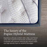 Queen Hybrid Mattress, Cooling Gel Memory Foam, Motion Isolation, Edge Support, for Back & Side Sleepers