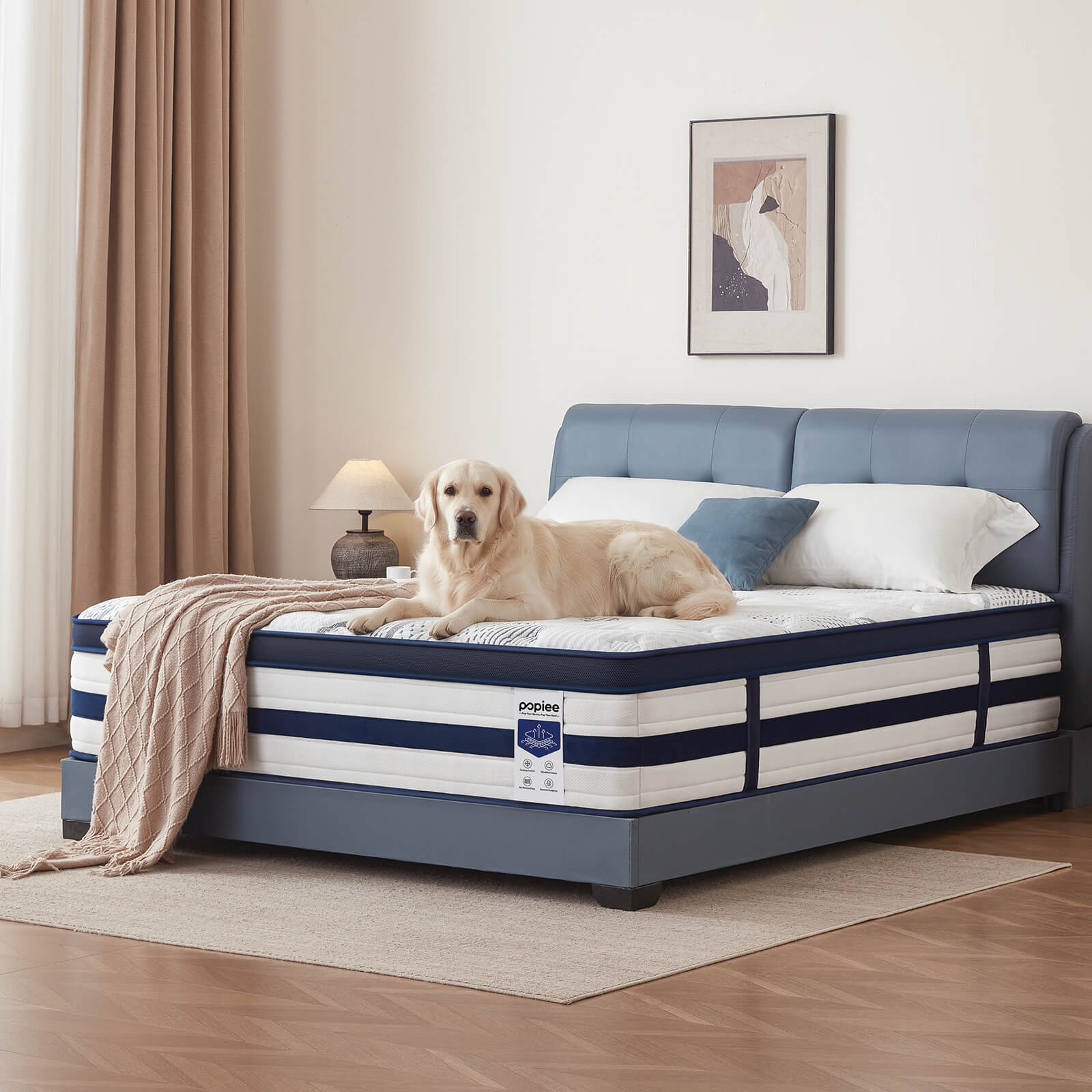 Queen Hybrid Mattress, Cooling Gel Memory Foam, Motion Isolation, Edge Support, for Back & Side Sleepers